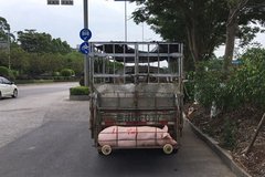 ����250��1�� �һ��ɽ�����˵�Ҷ�����