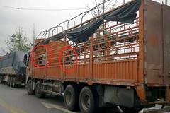 ������ע�� 6.1ȫ�������ϲ������ʡ��