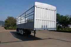 �ҳ��鱨�֣���333������ҳ��¿���