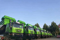 ���ҽ�ʨ�������������߷緶��������