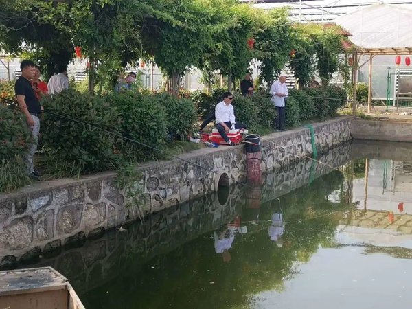 陕汽重卡 致心体验强终端 直播互动领新潮