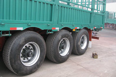 �������� ���ᵥ̥�쾱��դ�Ҽ۽�8.5��