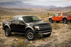 Ƥ�����������ר�ң�����������ܲ���