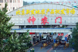 疫情反扑,新发地绿通运输受阻,日子最难过的其实是他们