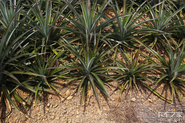 ������������&nbsp;������9��Խ����֮��