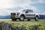 搭载5.0升V8发动机 全新福特F-150亮相
