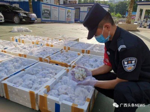 2人被抓！货车装11595枚该货物涉嫌违法