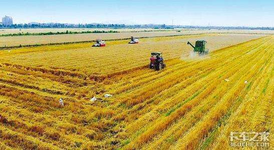 �ۼ۲�����̽��Ƥ�����Ϊũ��ֳ���