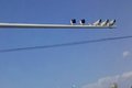 深圳256套电子眼