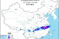 救援显忠诚 暴雨也挡不住奥铃人的承诺