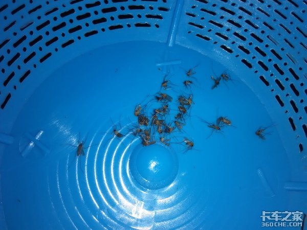 酷暑来袭开车难熬？这些神器你值得拥有