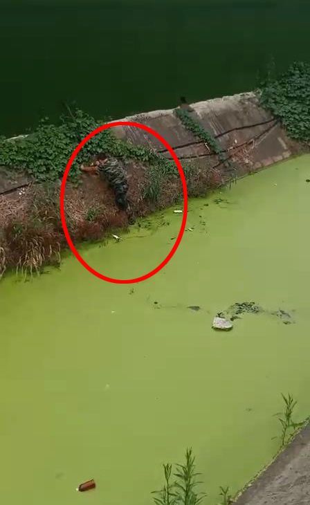 ��������50%&nbsp;Ϊ��ܴ���˾����Ȼ����