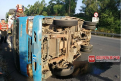 4ֻ��̥����3ֻ�����㻹�������޲�Ʒ��