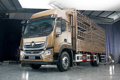 20����������6��8���� ˭�����������