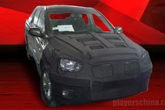 ֪���Ȼ����� ˫��Ƥ��SUT 1�������ع�