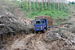 ɨ�ڳ�����һ��·�ԡ��������Ż︲��