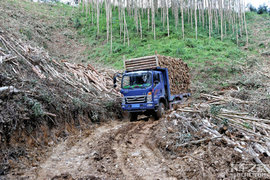 要想过此路留下买路财？又一“路霸”恶势力团伙15人覆灭