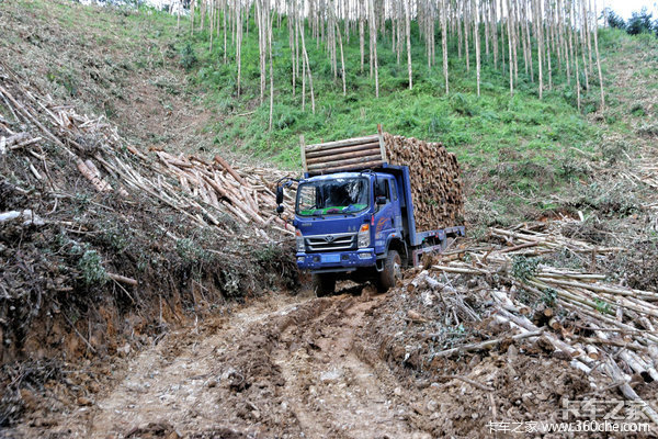 要想过此路留下买路财?又一“路霸”恶势力团伙15人覆灭
