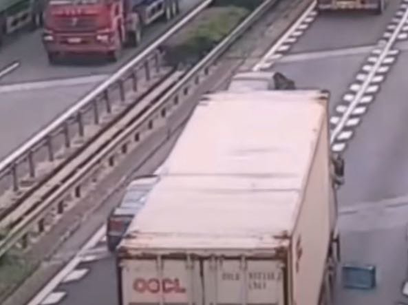 �����ģ����Ѹ���ͣ����Ϊ�ų���ȫ����