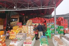 ���ھ�Ҫ��2000�� ��������Ҳû׬��Ǯ