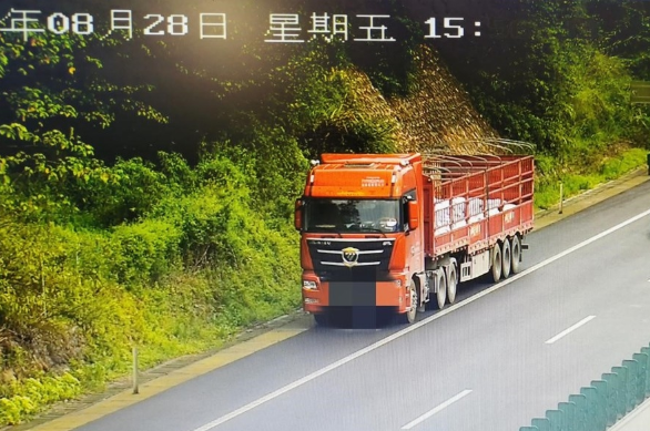 ��߼�12�ַ�200&nbsp;�ſ����ٶ�������Υ��