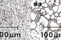 五花八门的减重方式 哪种来得最实在？