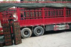 ��5�ֳ�������Ϊ����ͨ ��ʵ�������ջ�