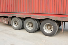 ����޶Ƚ�ʡ�ɱ� ��̥ѡ����������̸