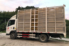 ��������VS�������� �������Ῠ��ѡ˭