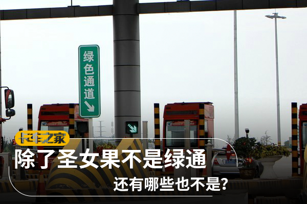 除了圣女果不是绿通 还有哪些也不是？