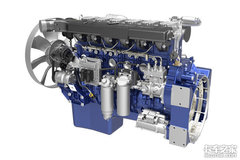 ���������������������ϸɳ ̫ȱ����