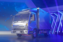 选装进口动力 搭载气囊座椅 还有ESP 这辆凯普特星云轻卡值多少钱?