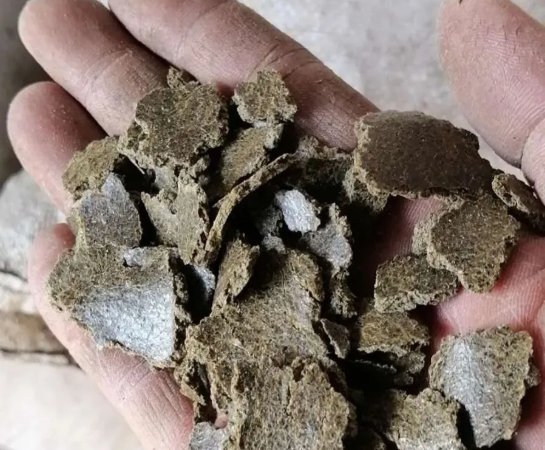 油菜籽饼是危险品？卡友在河北被罚2万