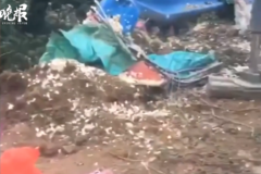 ���ϼ�����8��11�� ˾�����ϰ��ȫ��ץ