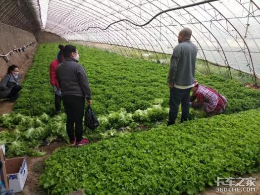 不只是卡车底盘+上装货厢那么简单，选择冷藏车门道还很多