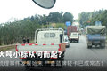大吨小标从何而起？ 这锅不该司机来背