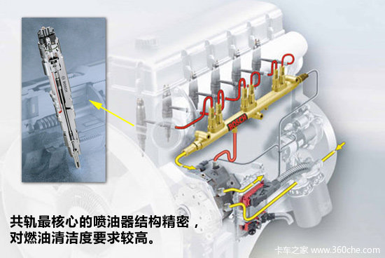 ��Ӧ����Ը�ǿ&nbsp;��ص���õ���������