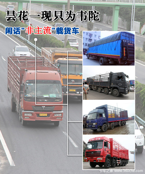 꼻�һ��ֻΪΤ��&nbsp;�л�'������'�ػ���