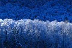 ���������û���3.5�� ����������¡����