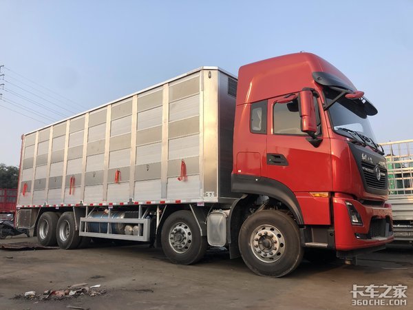 专业化猪仔运输车什么样,这款东风天龙KL载货车名不虚传