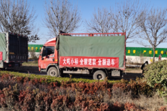 ��6�ַ�1000Ԫ ɽ���ĳ��ϲ�4.2���Ῠ