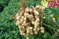 ���ʻ����ĳ���������ͨ�м���������