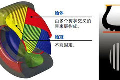 ��̥����֪ʶ �����ļ�����̥���෽��