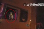 一头雾水 货车司机驾驶室内养狗被罚50