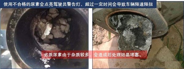 ���ӷ���/û��&nbsp;�����������غ�С������