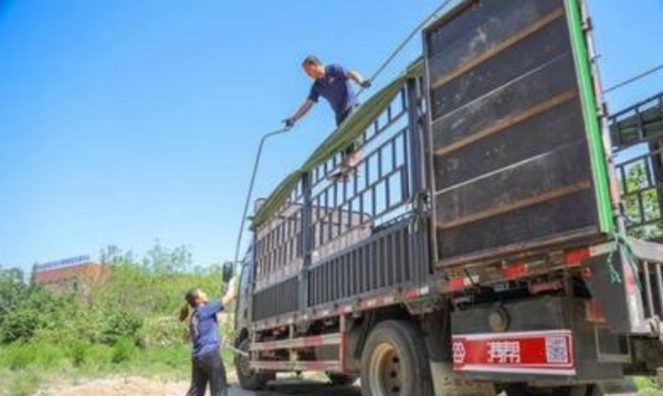 致敬铿锵玫瑰 那些奋斗在运输线上的女性