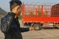 购买二手货车的三个套路 该怎么避坑？