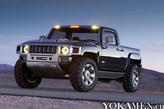 ���������� ϸ����������������Ƥ����