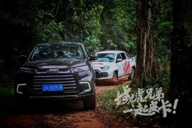 域虎兄弟西双版纳一起皮卡 抢摘南糯山第一株普洱