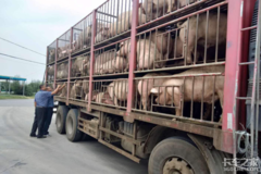 ������ע�⣺����ѳ�̨���������¹�